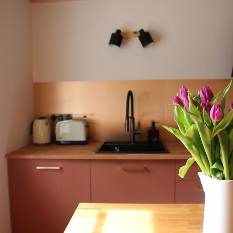 Ocean Escape - Appartement 2 Chambres - 33