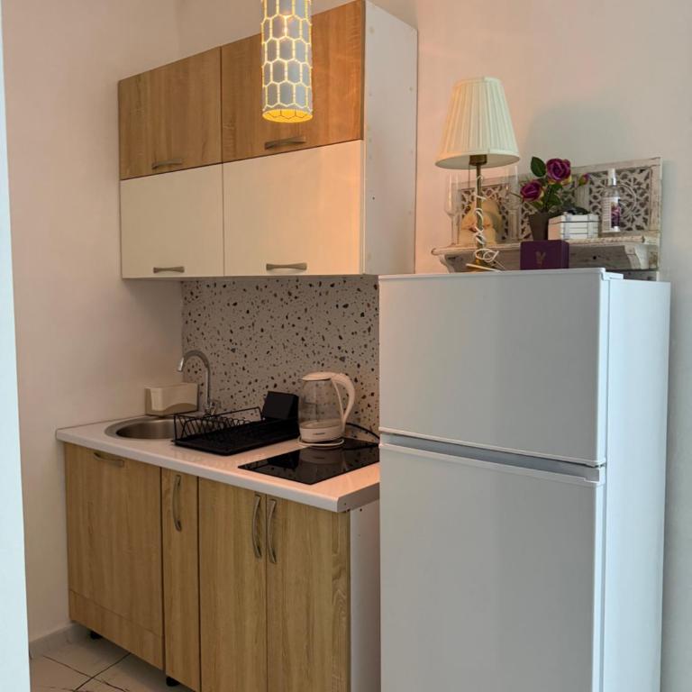 Sarah Apartments - One-Bedroom Apartment - 4