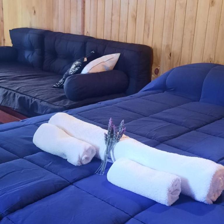 Cabañas Clen Antú - Apartamento de 1 dormitorio - 4