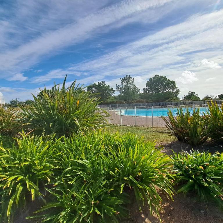 Appartement Terrasse Vue Mer - Les Sables d'Olonne - One-Bedroom Superior Apartment - 1
