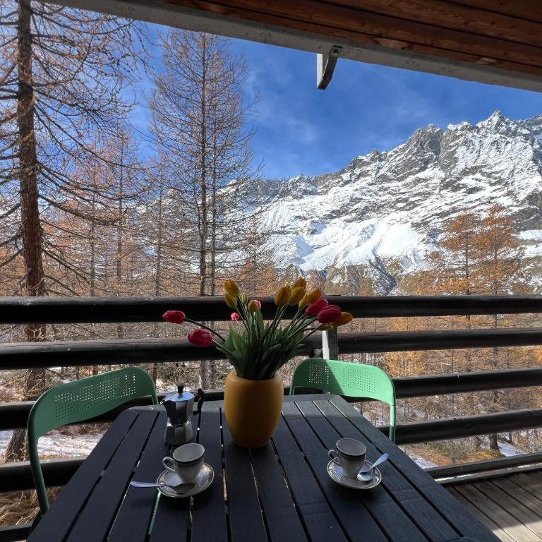 Cervinia Mountain View Apartments - Appartamento con 2 Camere da Letto - 7