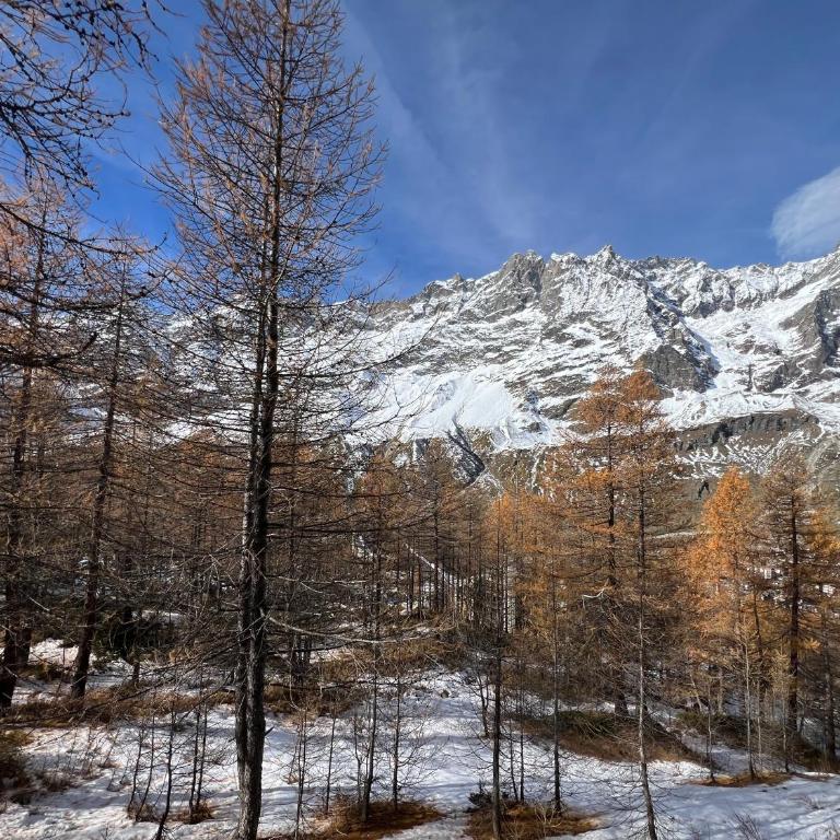 Cervinia Mountain View Apartments - Appartamento con 2 Camere da Letto - 9