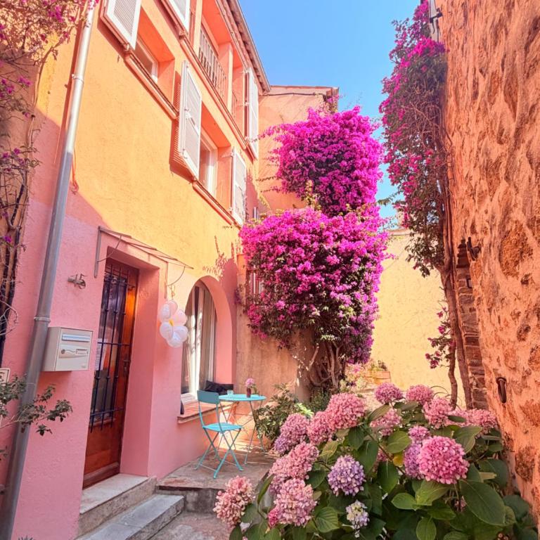 Bormes center 75 m2 artistic stay 2 to 4 people - Two-Bedroom Apartment - 13