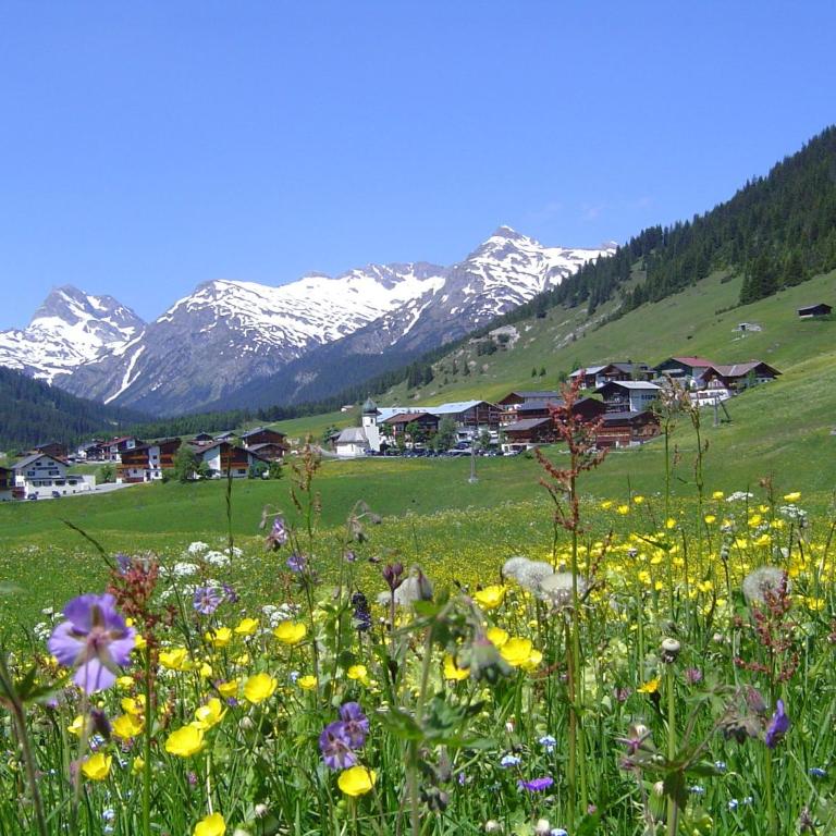 Pension Waldhof - Angebot - Doppelzimmer - 1