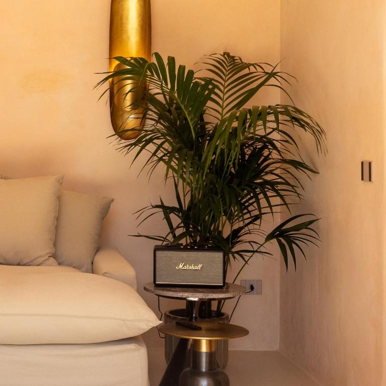 Exclusive Lamia nestled among the olive trees - Appartamento con 2 Camere da Letto - 10