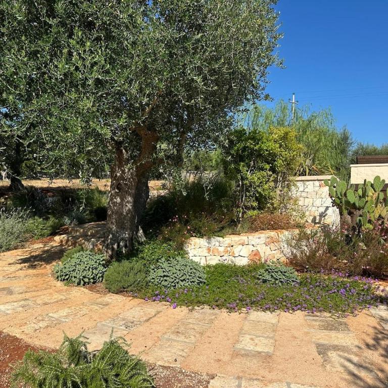 Exclusive Lamia nestled among the olive trees - Appartamento con 2 Camere da Letto - 28