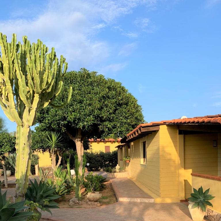 Residence Cernia Gialla - Monolocale - 1