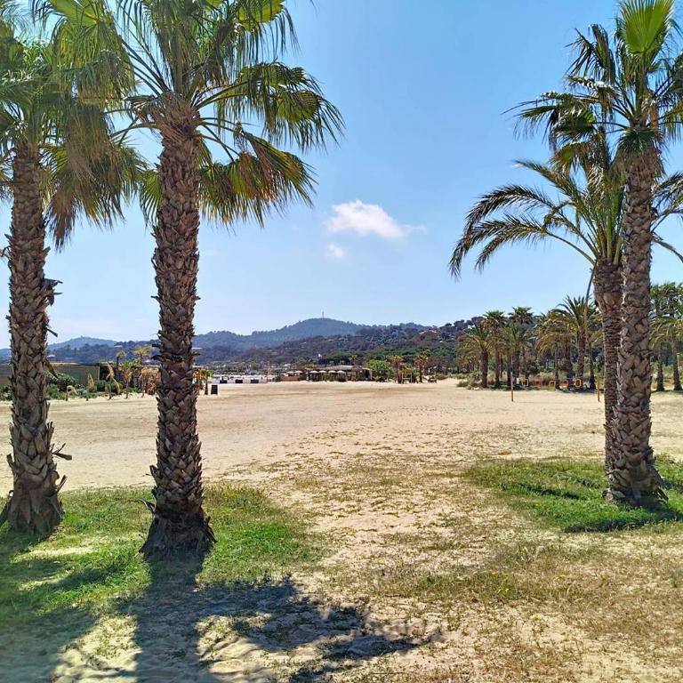 Charmant Studio avec Piscine, Tennis, Parking et Accès Direct Plage - Bormes-les-Mimosas - FR-1-610-30 - Studio - 12