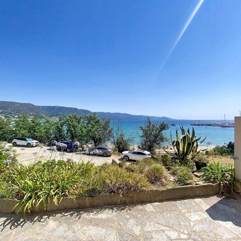 Studio en bord de mer, rez de jardin, accès plage - FR-1-610-90 - Estudio - 13