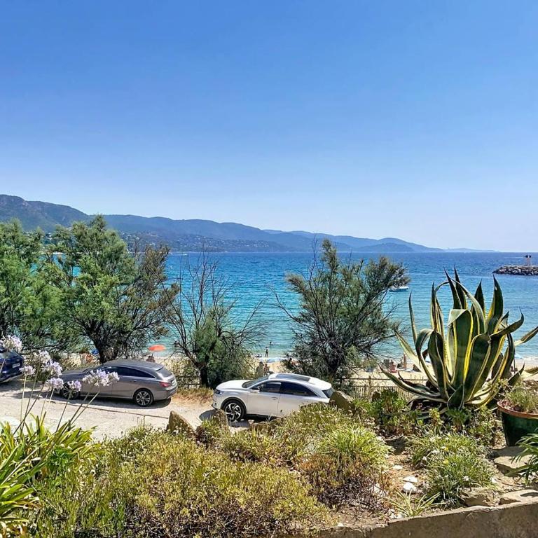 Studio en bord de mer, rez de jardin, accès plage - FR-1-610-90 - Estudio - 15