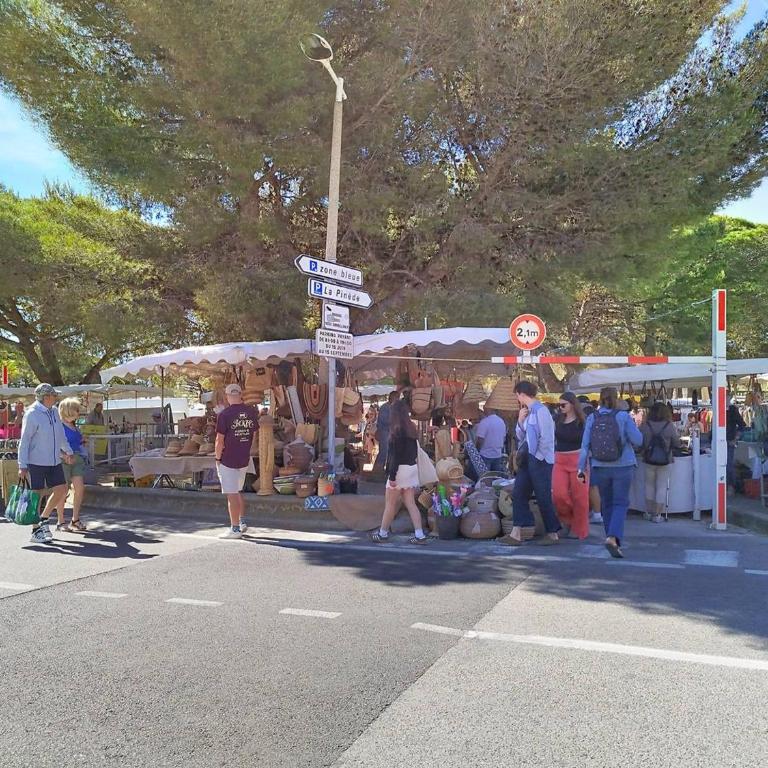 Studio en bord de mer, rez de jardin, accès plage - FR-1-610-90 - Estudio - 17