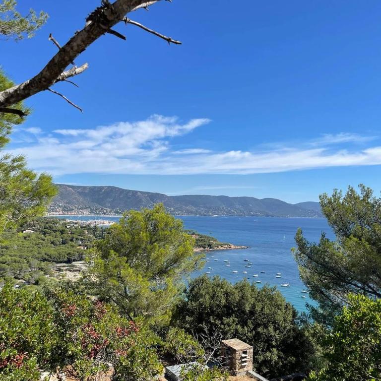 Studio en bord de mer, rez de jardin, accès plage - FR-1-610-90 - Estudio - 20