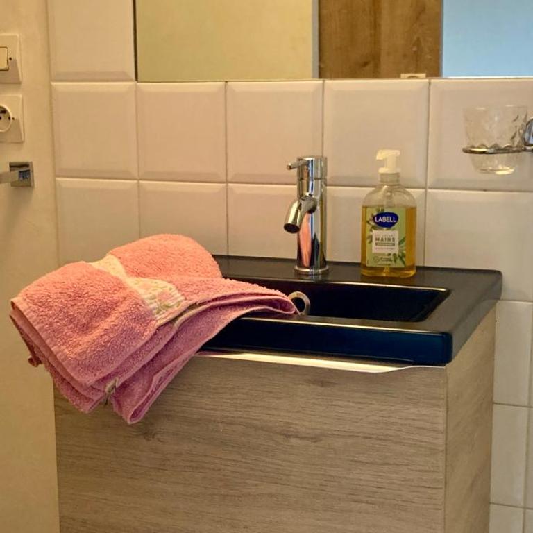 Studio mansardé plein centre et à 5 mn des plages - Apartment mit 1 Schlafzimmer - 8