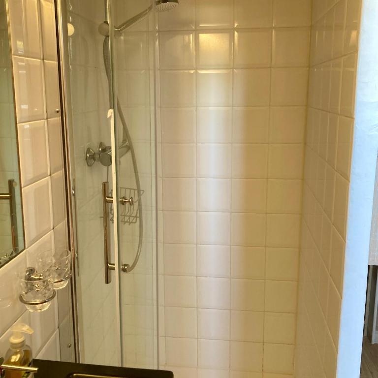 Studio mansardé plein centre et à 5 mn des plages - Apartment mit 1 Schlafzimmer - 11