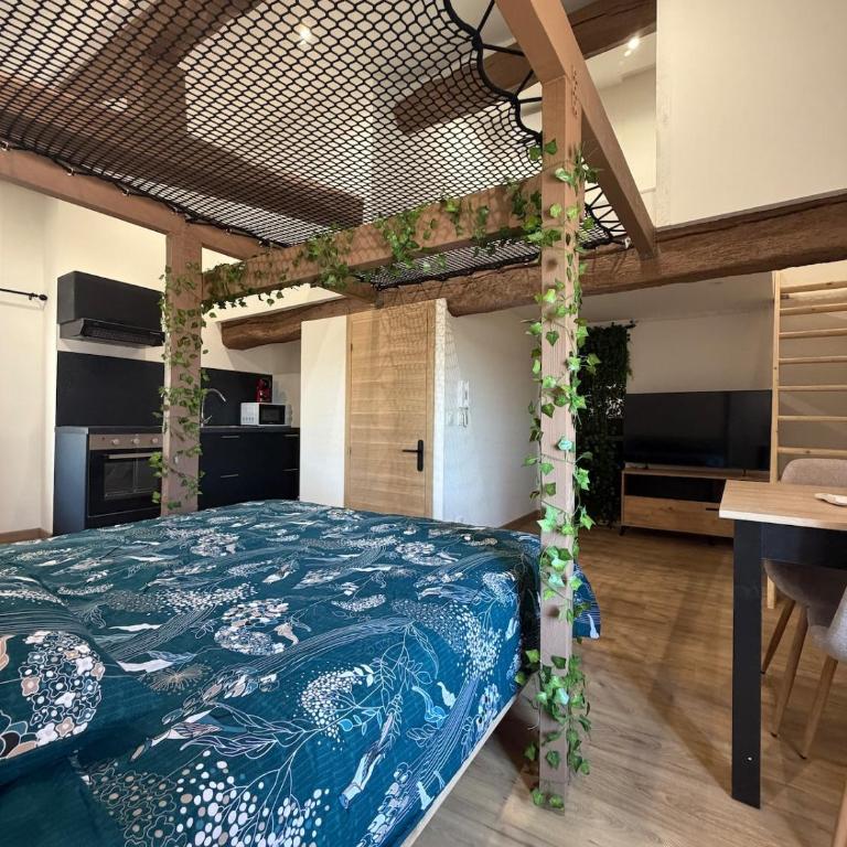 Studio atypique avec filet suspendu & mezzanine - Appartement 1 Chambre - 1