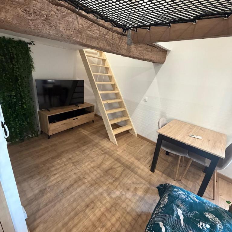 Studio atypique avec filet suspendu & mezzanine - Appartement 1 Chambre - 5
