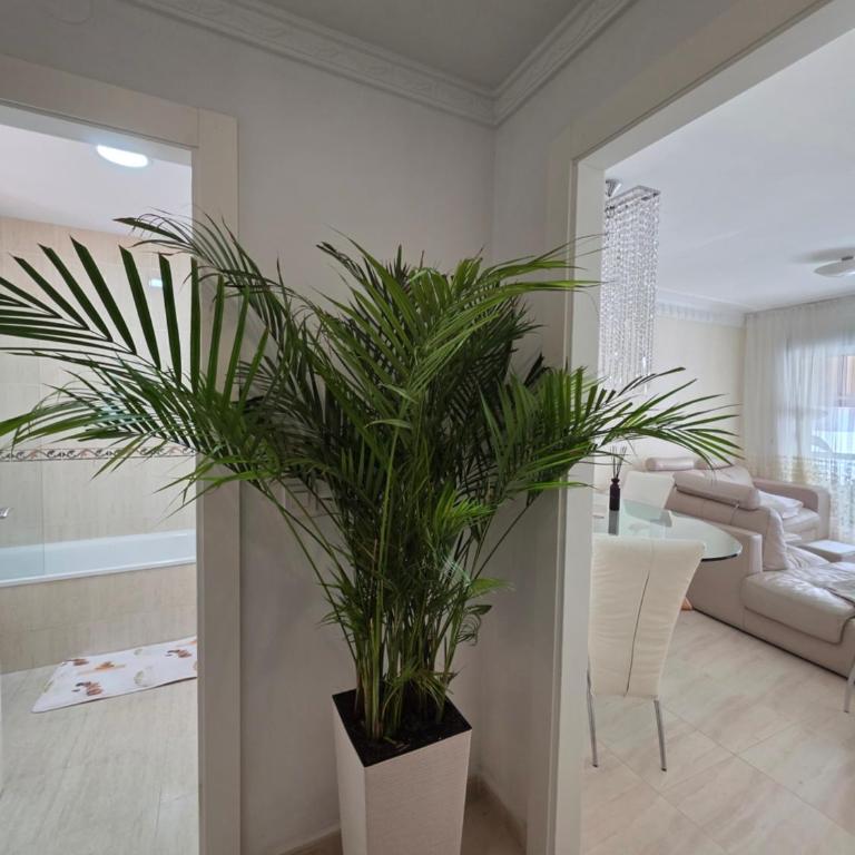 DUPLEX FUENGIROLA CENTRO 3 dormitorios - Apartamento Dúplex - 36