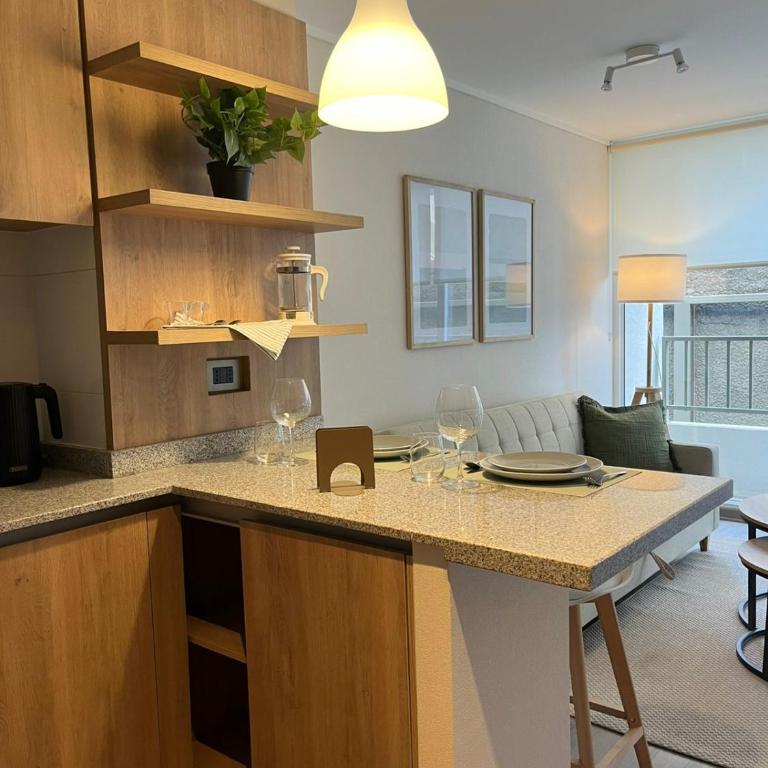Santiago Premium Downtown Terrace & Cowork - One-Bedroom Apartment - 11