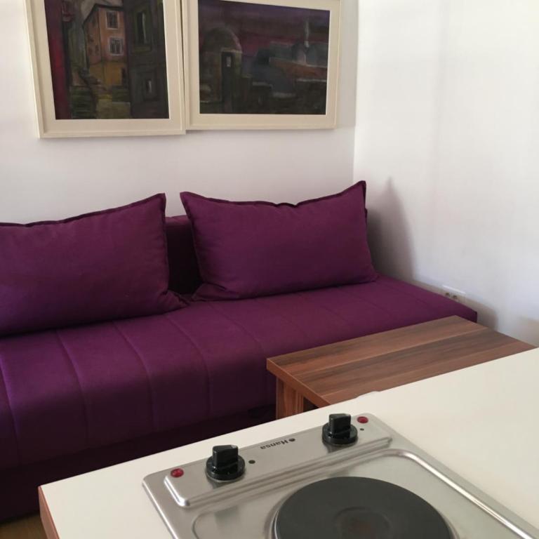 Apartments and Rooms Villa Gaga 3 - Studio Apartman sa Pogledom na More - 4