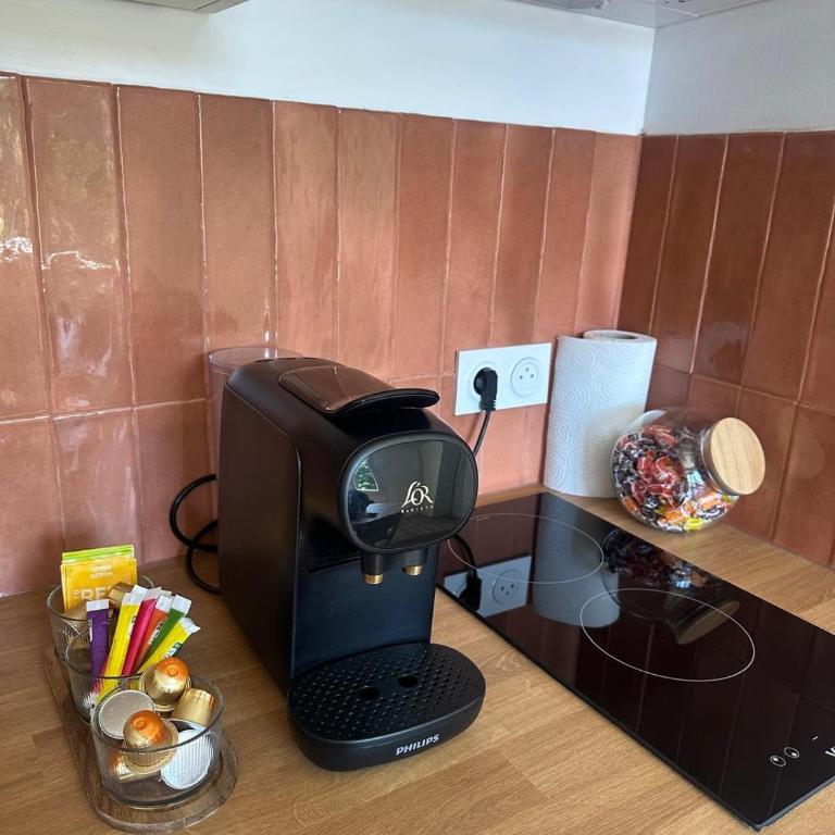 Studio Ô Maé proche Village Outlet - Aéroport - St-Quentin-Fallavier - Appartement 1 Chambre - 10