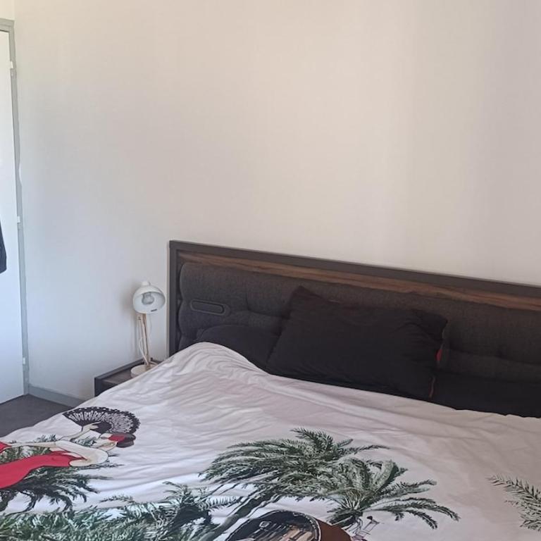 Maison de ville à VICHY - Two-Bedroom Apartment - 20