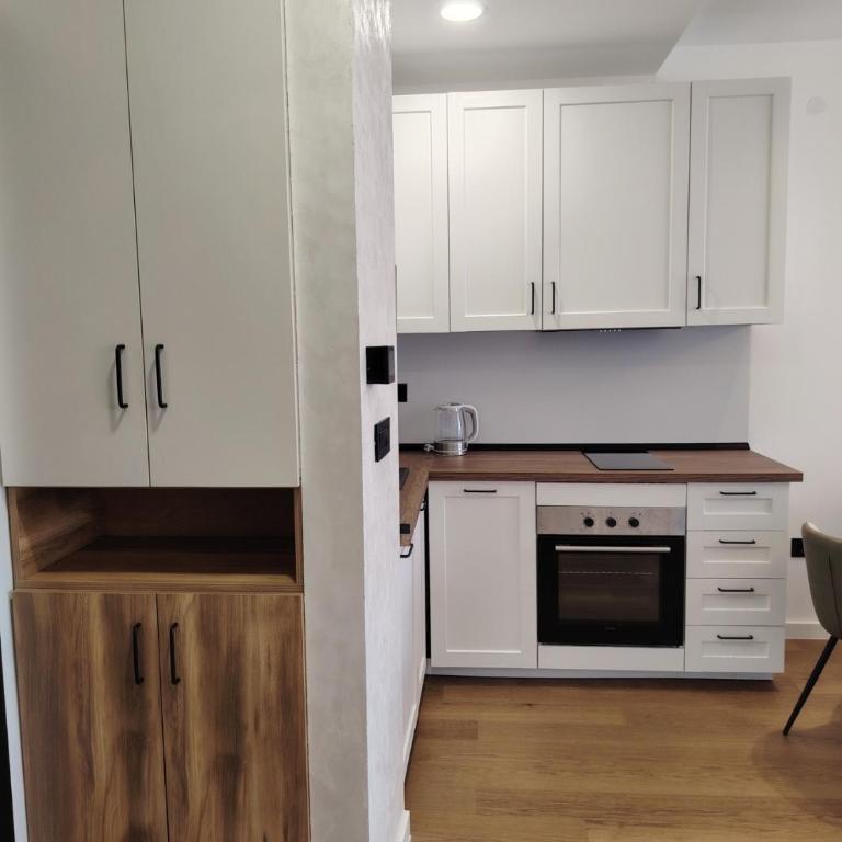 Zlatibor - Erakstay - Apartman sa 1 Spavaćom Sobom - 4