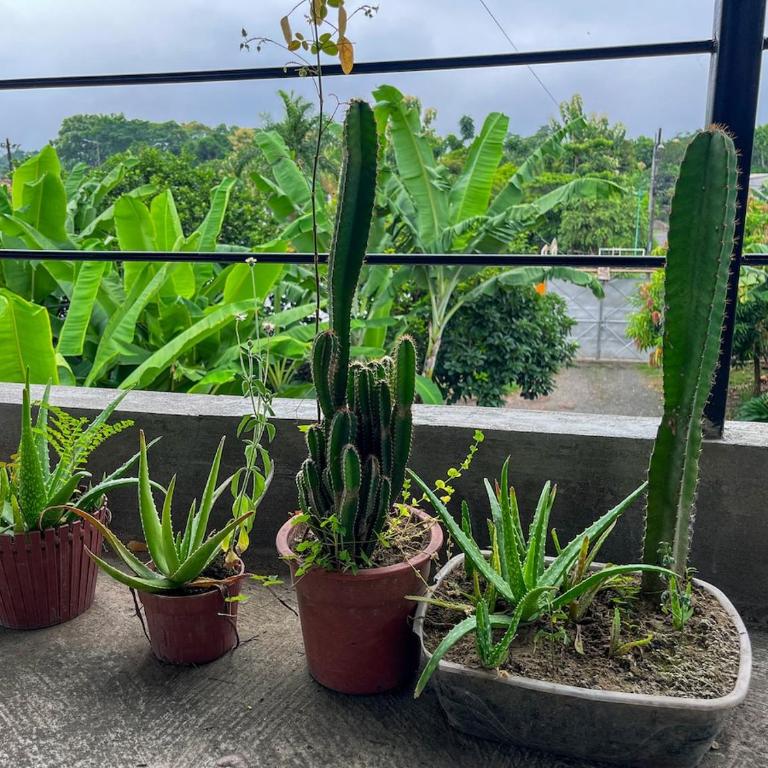 Suite completa con jardin y parqueo privado - Apartamento de 1 dormitorio - 7