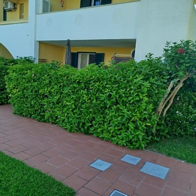 DImOrA SALENTO SAIRON - Casa con 2 Camere da Letto - 46