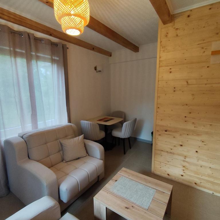 Apartments & Rooms Bojic - Studio with Mountain View - 1