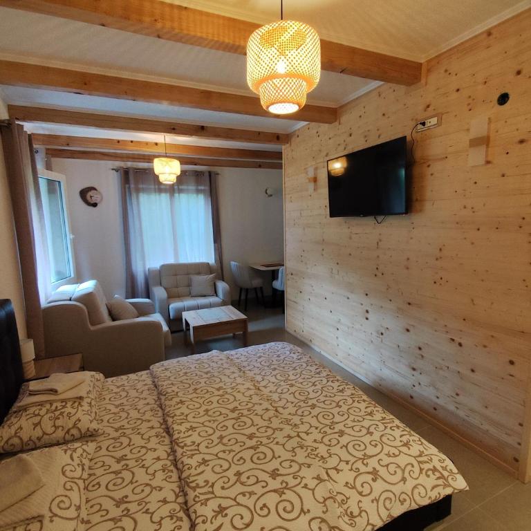 Apartments & Rooms Bojic - Studio with Mountain View - 4