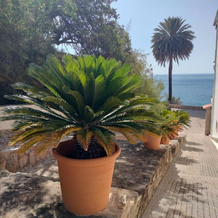 Apartamento con encanto primera linea de playa Calpe Manzanera - Apartment mit 1 Schlafzimmer - 29