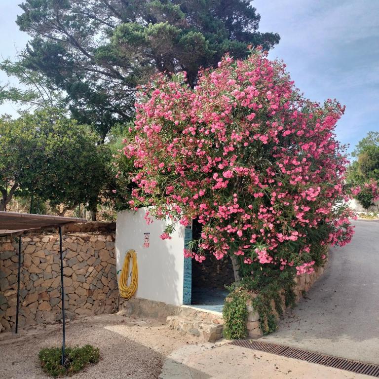 Apartamento con encanto primera linea de playa Calpe Manzanera - Apartment mit 1 Schlafzimmer - 31
