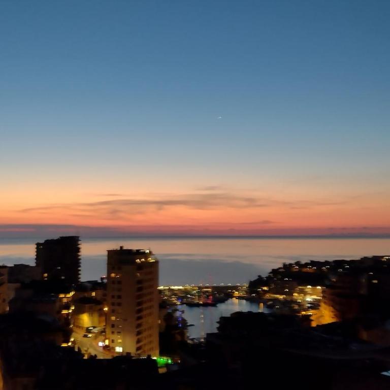 Bright Studio Monaco View - Appartement 1 Chambre - 14