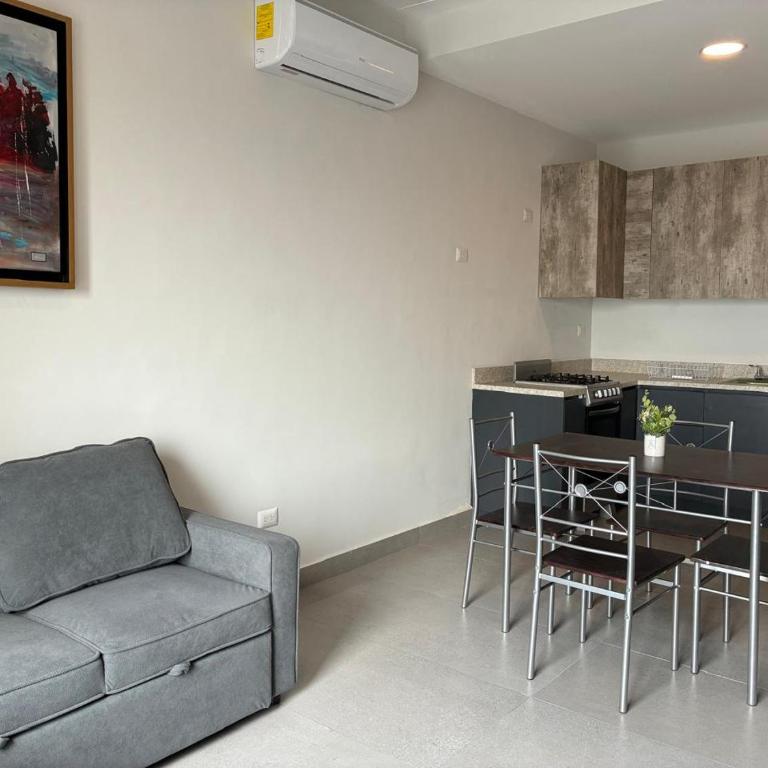 Adhoc Torre Colonia Executive Apartments Monterrey Downtown - Apartamento de 1 Dormitorio con balcón y vistas a la ciudad - 3