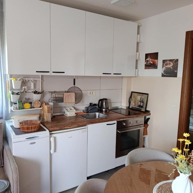Apartman Dadja Zlatibor & SPA - Apartment mit 1 Schlafzimmer - 17