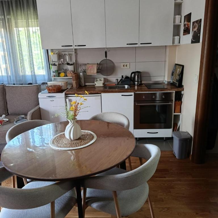 Apartman Dadja Zlatibor & SPA - Apartment mit 1 Schlafzimmer - 19