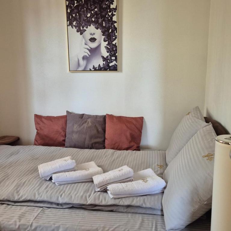 Apartman Dadja Zlatibor & SPA - Apartment mit 1 Schlafzimmer - 22
