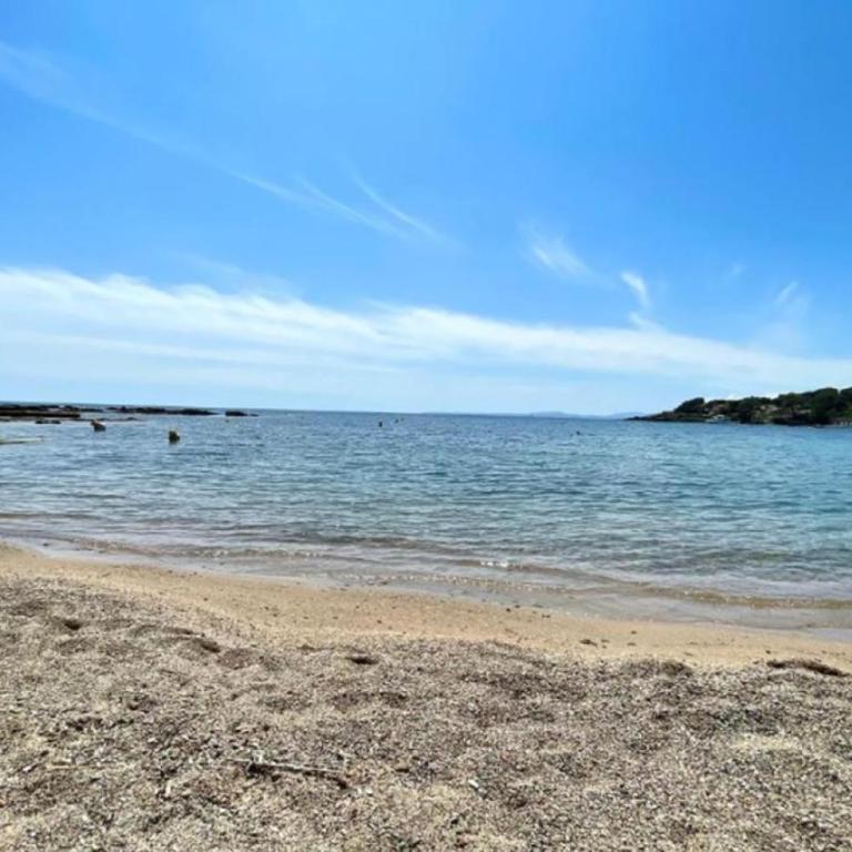 5-peopl studio - sea view- terrace - parking - Apartment mit Meerblick - 56