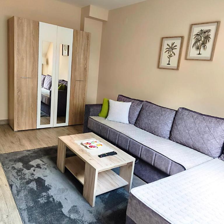 Apartman Maksimović Divčibare - Apartman s 1 Spavaćom Sobom i Terasom - 5