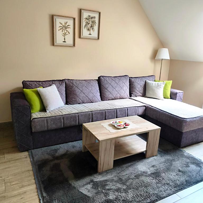 Apartman Maksimović Divčibare - Apartman s 1 Spavaćom Sobom i Terasom - 6