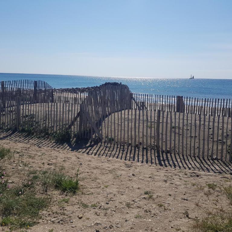 La Rose des Sables, T2 à la mer, terrasse et garage - Appartement 1 Chambre - 1
