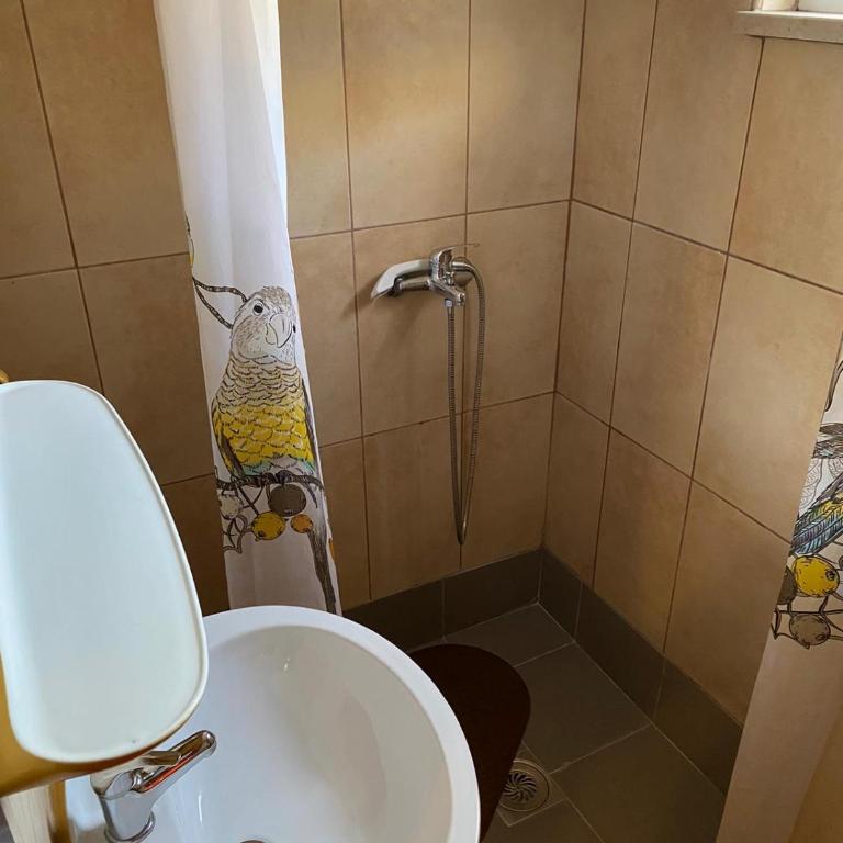 Apartments Avdic - Comfort Quadruple Room - 2