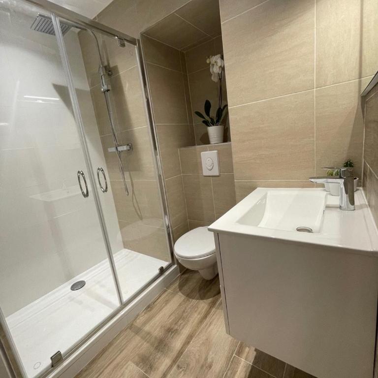 Duplex Cannes Centre - One-Bedroom Apartment - 29