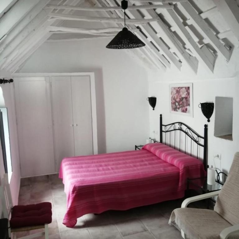 Vivienda de Alojamiento Rural Casa Naty - Apartment - 5