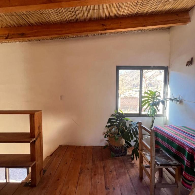 Maima - Apartamento de 1 dormitorio - 4