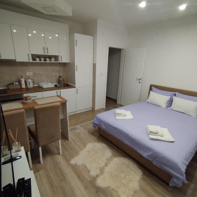 Ljilja Studio Apartman - Studio sa Balkonom - 16