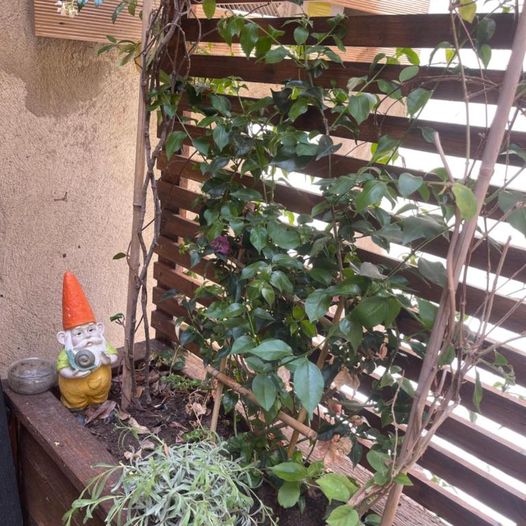 T1 neufs climatisés sur-équipés - Apartamento de 1 dormitorio - 8
