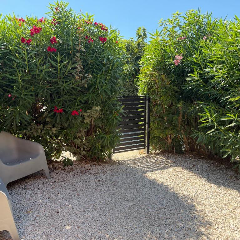 JOLIE MAISON ILE DES PECHEURS dans résidence avec piscine - Two-Bedroom House - 9