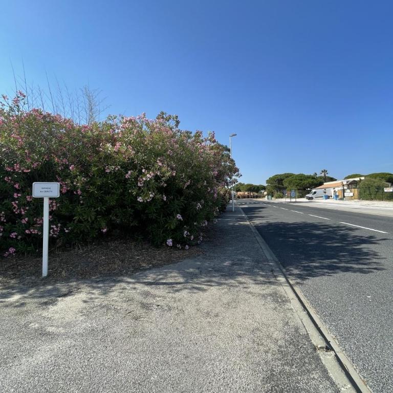 Les Roses - Maison - Clim - Vue - Barbecue - Two-Bedroom House - 33