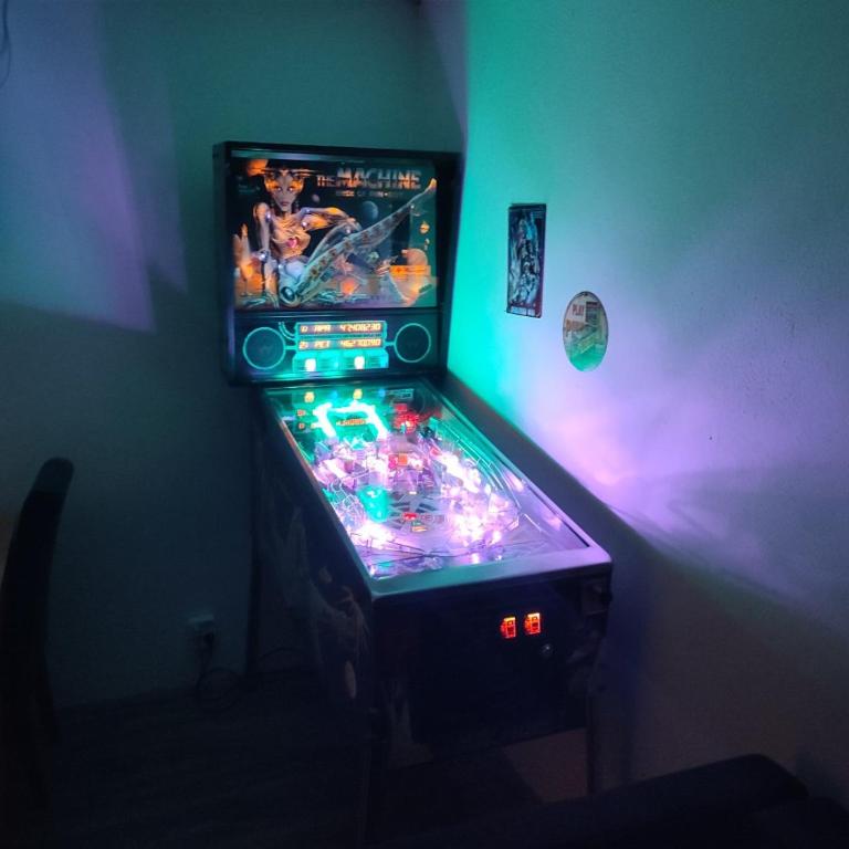 Pinball Apartment - Apartment mit 2 Schlafzimmern - 42